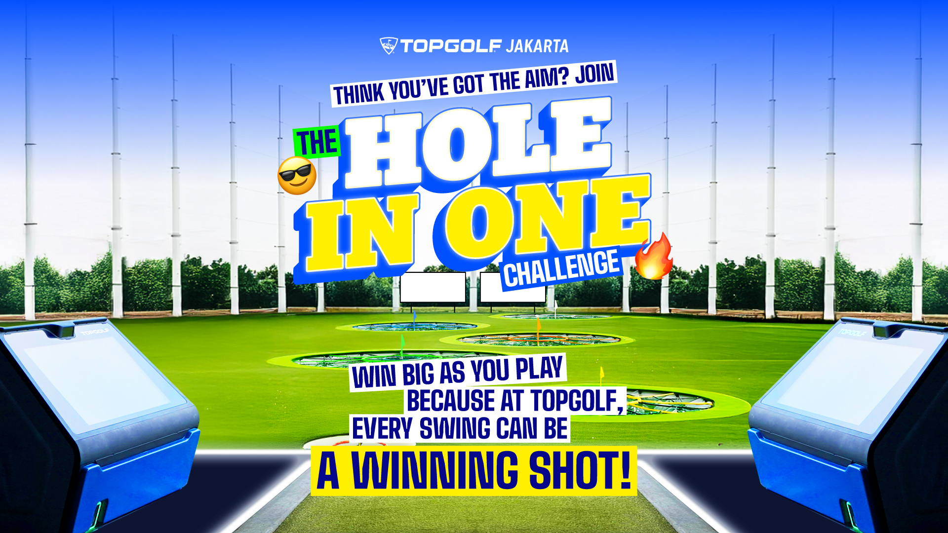 Hole In One